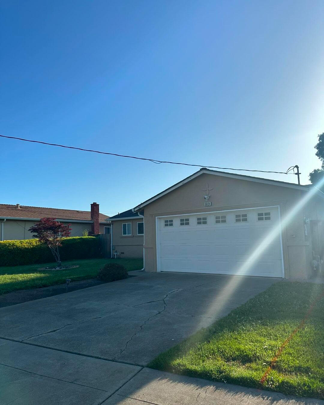 DLT SERVICES BAY AREA PAVERS CONCRETE TREES WE DO IT ALL