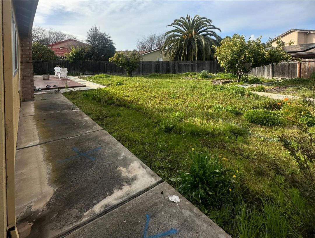 DLT SERVICES BAY AREA PAVERS CONCRETE TREES WE DO IT ALL