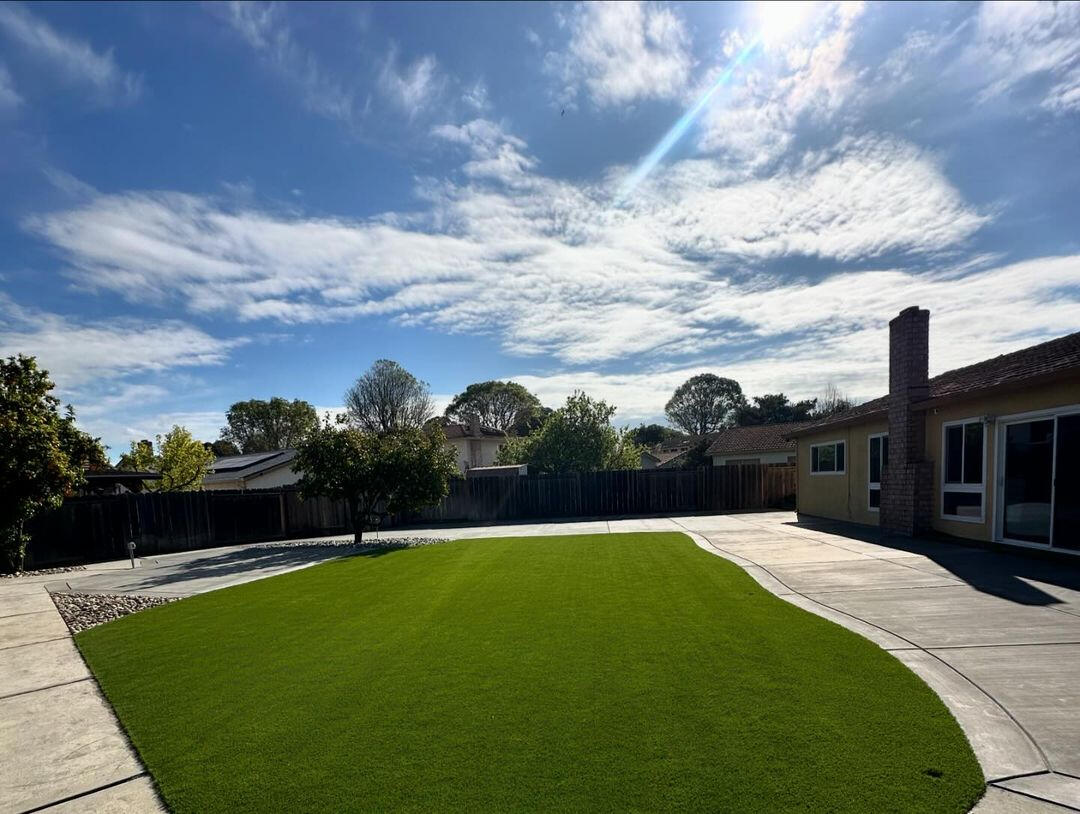 DLT SERVICES BAY AREA PAVERS CONCRETE TREES WE DO IT ALL