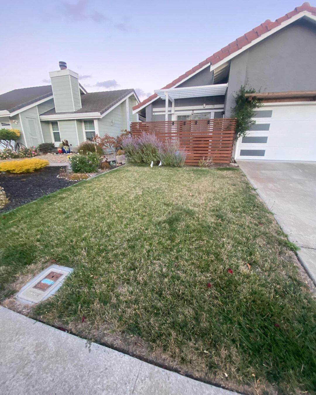 DLT SERVICES BAY AREA PAVERS CONCRETE TREES WE DO IT ALL